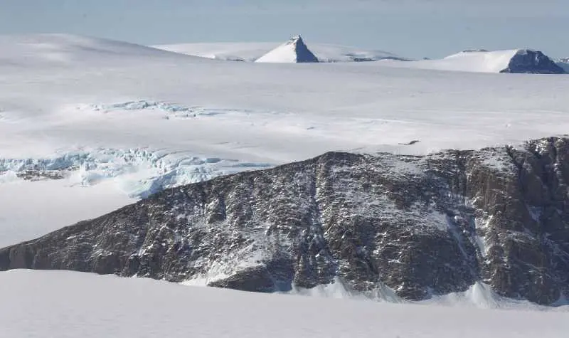 Учени откриха необичаен рептил в Антарктика