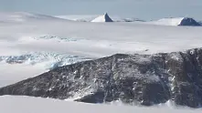 Учени откриха необичаен рептил в Антарктика
