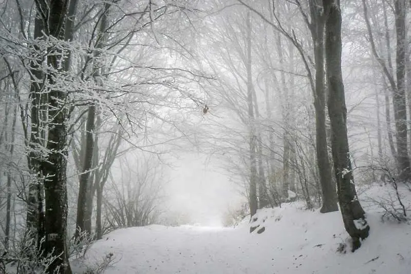 Времето: Значителни валежи от сняг в планините, има опасност от преспи и навявания