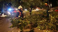 Бурите в Северна Европа взеха 10 жертви