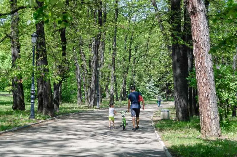 Планът за Борисовата градина – по-зелена и безшумна, без коли 