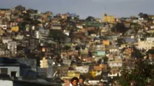 Бразилия под тревога заради жълта треска