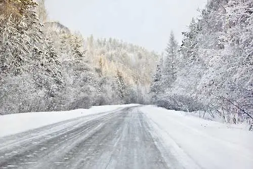 Заради снега и снегорините затварят временно пътища за камиони