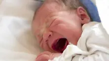 Плачът на бебето моделира мозъка на родителите
