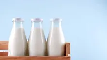 Откриха 1600 литра гръцко мляко с влошено качество