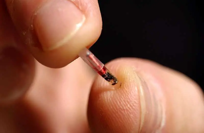 Шведите си имплантират микрочипове, заменят личните карти