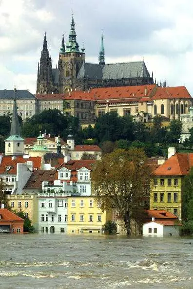Още един чешки министър подаде оставка заради подозрения в плагиатство