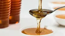 Странджанският манов мед става защитен продукт