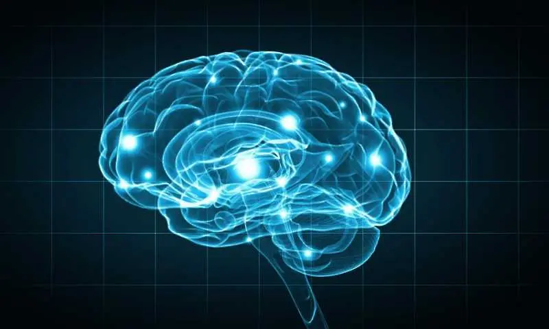 Тест: Колко добре разбирате човешкото съзнание?