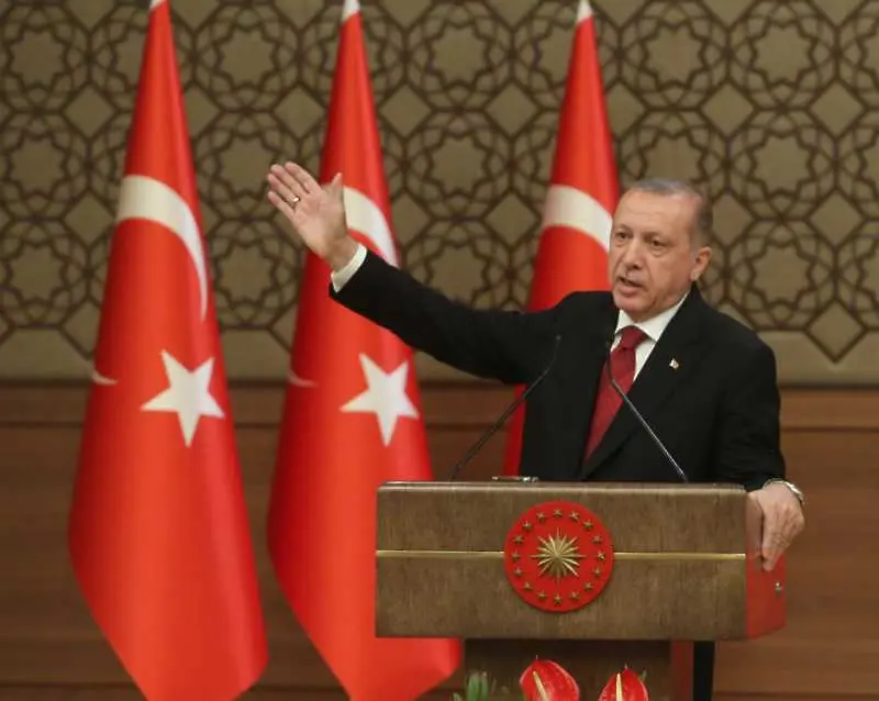 Ердоган иска по-добри икономически и политически връзки с Германия