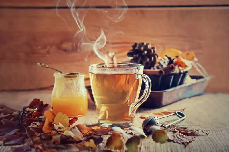 Топли напитки за есента