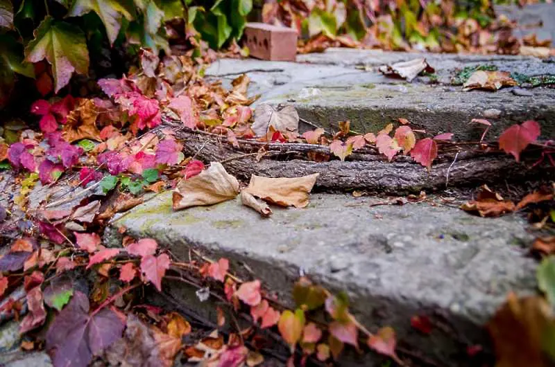 Есента предоставя идеалното време за разходки сред природата. Летните жеги са отминали, зимните студове са още далеч. Температурите са идеални за походи и пикници.
Снимка: Shutterstock