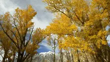 Есен в Сиера Невада (фотогалерия)
