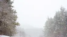 Близо 30 сантиметра сняг натрупа в Монтана за часове, магистралите засега са отворени (обзор) 
