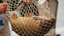 Преди Никулден: Започват проверки на рибата в цялата страна