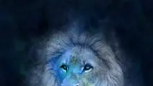 Забавен хороскоп: Сфинкс или лъв
