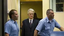 Още по-тежка присъда за Радован Караджич - доживотен затвор