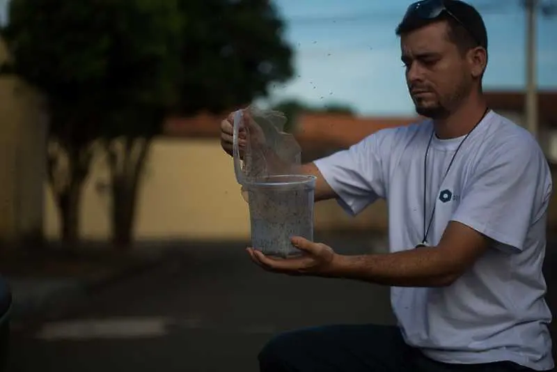 Градът, който учи децата да обичат комарите