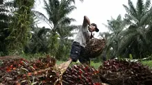 Индонезия заплаши ЕС с търговска война