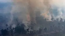 Бразилия ще приеме чуждестранна помощ в борбата срещу пожарите в Амазония