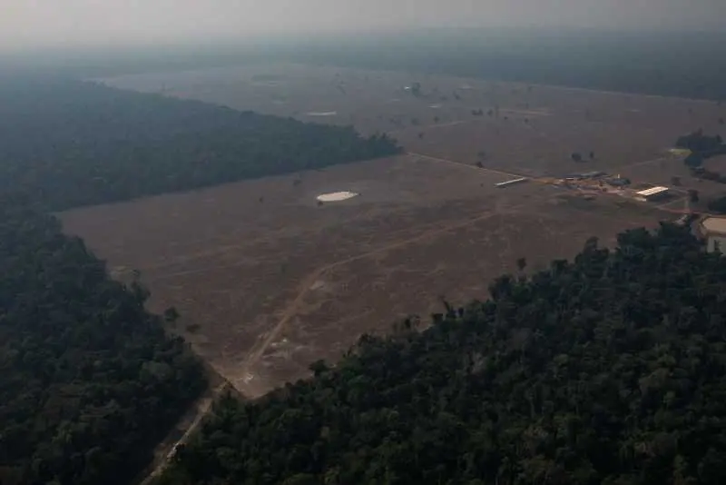 Бразилия временно забрани законното изгаряне на растителност за разчистване на земи