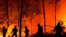 Бразилия призна, че няма ресурс да се пребори с огромните пожари