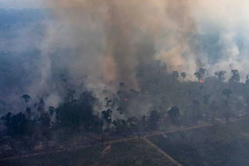 Бразилски министър: Горите в Амазония не са на път да изгорят, необоснованите опасения заплашват нашия суверенитет