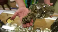 Канбера легализира марихуаната за лична употреба с развлекателна цел