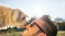 Мъж почина след целувка с кучето си 