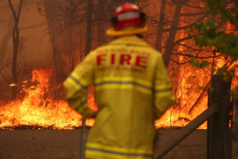 Австралийските власти обявиха извънредно положение в щата Нов Южен Уелс заради пожарите