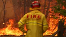 Австралийските власти обявиха извънредно положение в щата Нов Южен Уелс заради пожарите
