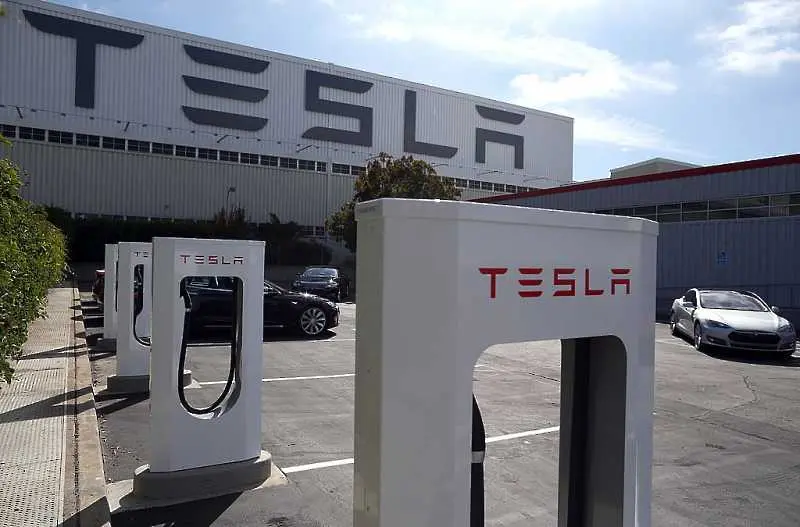 Германски съд спря работата на Tesla по новия й завод край Берлин 