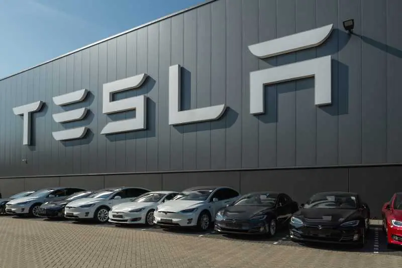 Германски съд разреши на Tesla да продължи разчистването на терена за завод край Берлин