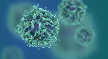 Учени: COVID-19 не е изкуствено създаден вирус
