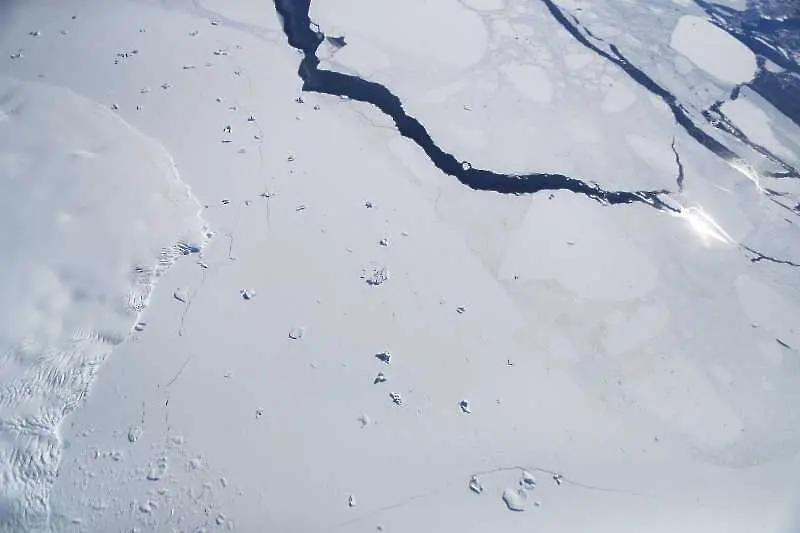 Регистрираха първата топлинна вълна в Антарктида