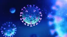 Пуснаха официален информационен портал за коронавируса