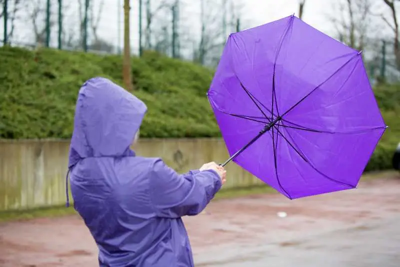 Времето: Предупредителни кодове в почти цялата страна за силен вятър и дъжд