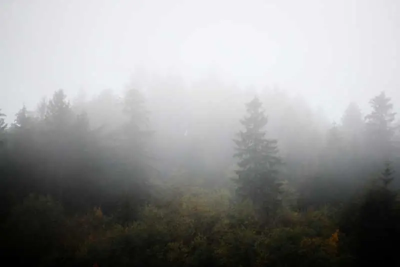 Времето: Облачно и мъгливо, на места с валежи от дъжд