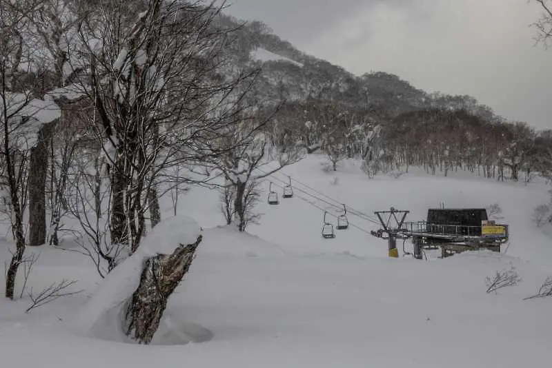Снежна буря удари Япония