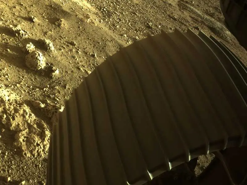 НАСА: Живот от Земята може да оцелее на Марс