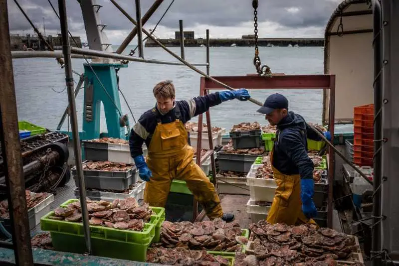 ЕС и Великобритания договориха квоти за риболова