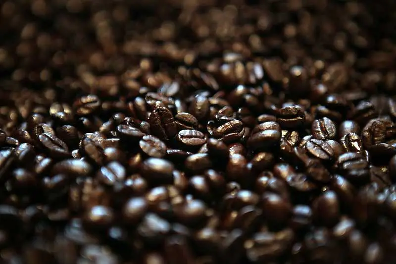 Климатичните промени може да заличат 50% от производството на кафе и захар до края на века