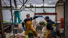Франция готви санкции, ако Великобритания откаже разрешителни за риболов