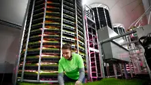 Компания за вертикално земеделие стана най-новия „еднорог в Европа