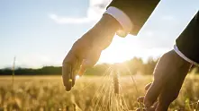 Струва ли си да инвестираш в земеделска земя?