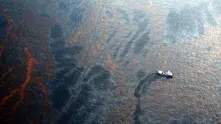 Слънчевите лъчи разграждат нефтеното петно в Мексиканския залив 