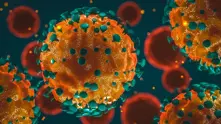 6589 са новите случаи на коронавирус у нас