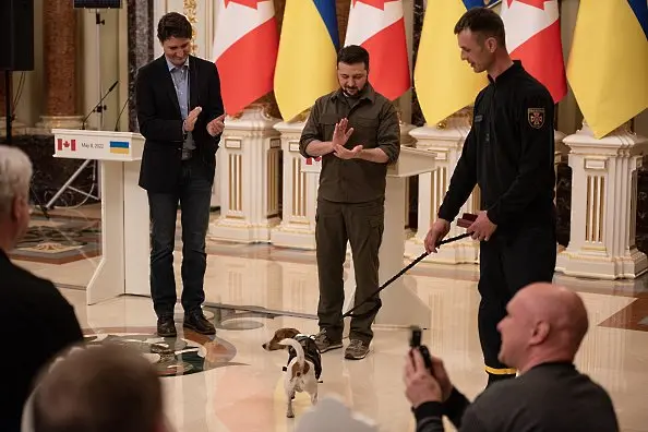 Зеленски връчи медал на куче-сапьор в Украйна