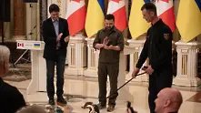 Зеленски връчи медал на куче-сапьор в Украйна