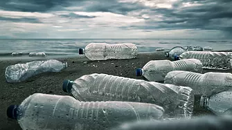 Алехандро Дуран: Как използвам изкуство, за да се справя с пластмасовото замърсяване в океаните ни